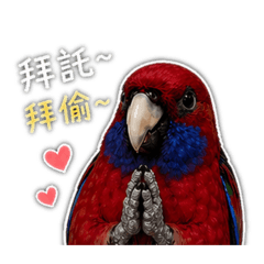 Doremi-日常生活