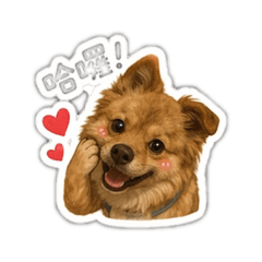 劉阿寶
