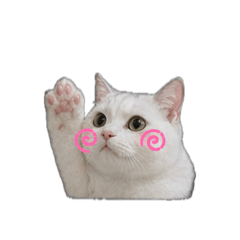 Cute cat-Dot