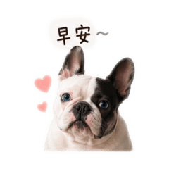 河馬小嬰兒