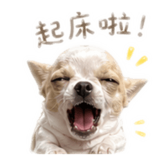 布布專用貼圖