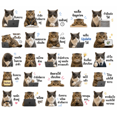 Amnuay and Amnat