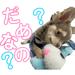 moehori_20260507122813