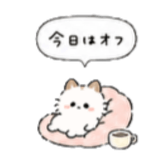 arin_20260507122738