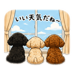 YUSUKE_20260507123532