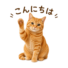 cat life 88