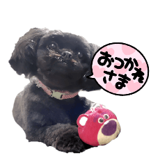 momohato_20260507111951