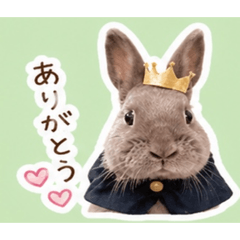moty_20260507124036
