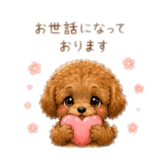 anmyuzu&y_20260507123509