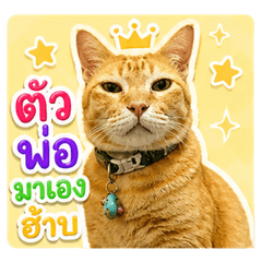 fatmeowsom