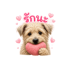 Pukpui the Fluffy Puppy