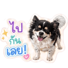 Monee Nene_20260504200430