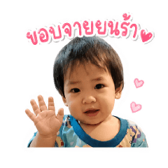 noolek_20260507075845