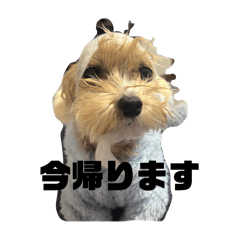 naka_20260507124621