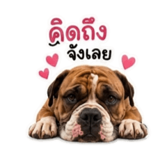 Nurse_20260507084313