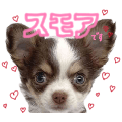 moehori_20260507130017