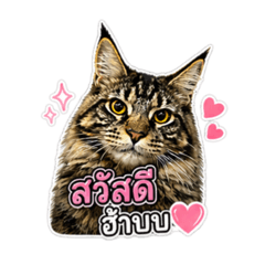 Nuttapong_20260502175203