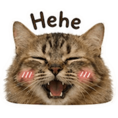 TANWA_20260502063443