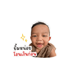 Camel_20260428155411