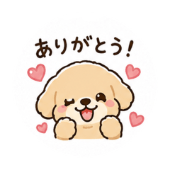 masa_@_20260507130930