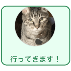 lin_20260507131224