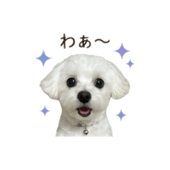 tkrmama_20260507132843