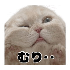asahino_20260507132402