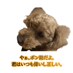 Ponsuke who accepts everything.