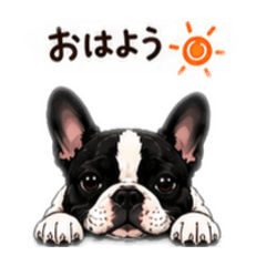 Milo_20260507132559