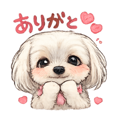 Rikki_20260507135432