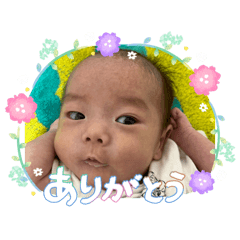 olive_20260507135549