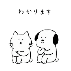 kumakosan_20260507135833