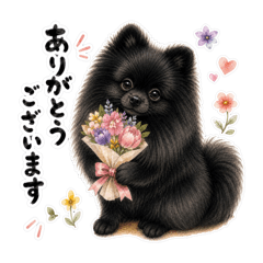 Yozora_20260507134426