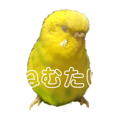 a_20260507141025