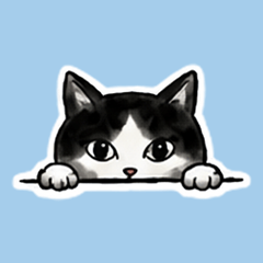 Parted-Hair Cat: Mischief & Meows
