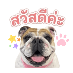 Cheva1_20260428155618