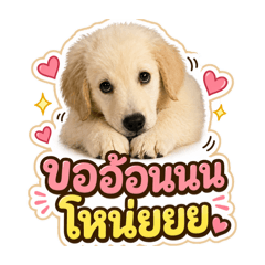 Notexx_20260428155649