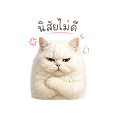 REMI_20260502154254