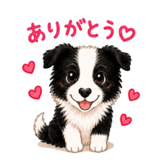 ontan_20260507142216
