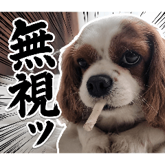 tasuku_20260507142115