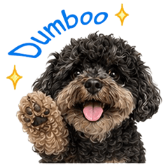 BLACK dumboo