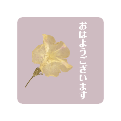 mint_20260507143342