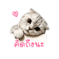 Not_20260429201835
