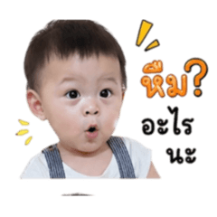 Piyaporn_20260428204421