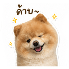 Tungtong go go
