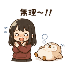 Stella_20260507144344