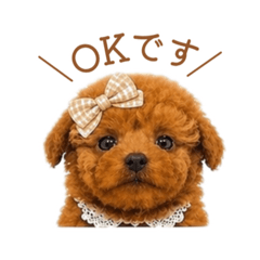 Yuri Sticker Studio_20260507144020