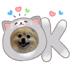 komukonumama_20260507145058