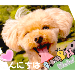 Mochioba_20260509214732