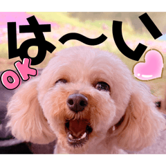Mochioba_20260509220031